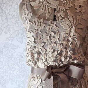 Tadashi Shoji Lace Sheath Dress | Women’s | Champagne | 4